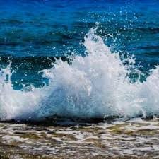 Nashra Sandhu avatar